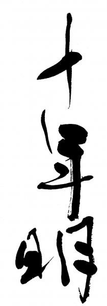 十年明