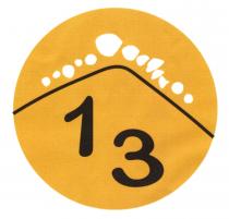 13