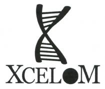 XCELOM