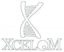 XCELOM