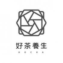 HOCHA 好茶養生