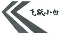 飞跃小白