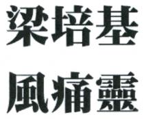 梁培基 風痛靈