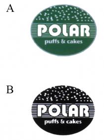 POLAR puffs & cakes