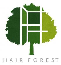 HF HAIR FOREST
