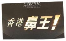 NUME AESTHETIC MEDICAL AND SURGICAL CENTER 名人醫美外科中心 香港鼻王！