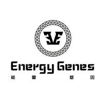 E Energy Genes 能量基因