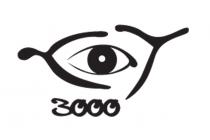 3000