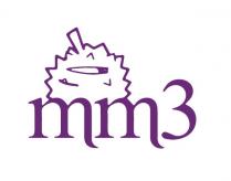 mm3