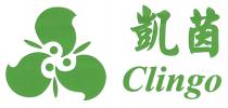Clingo 凱茵