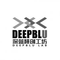 DEEPBLU DEEPBLU LAB 深蓝研创工坊