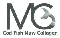MG Cod Fish Maw Collagen