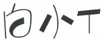 T 白小
