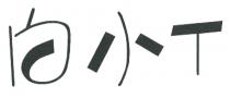 T 白小