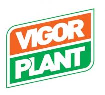 VIGOR PLANT