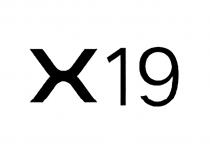 X19