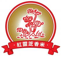 紅靈芝香米