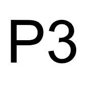 P3