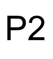 P2