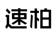 速柏
