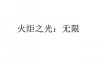 火炬之光：无限
