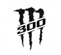 300