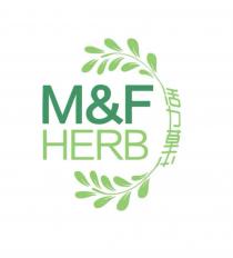 M&F HERB 活力草本