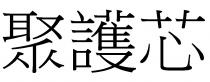 聚護芯 聚护芯