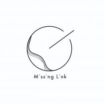 M'ss'ng L'nk