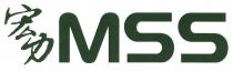 MSS 宏力