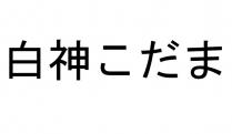 白神