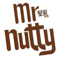 Mr Nutty 堅果 先生
