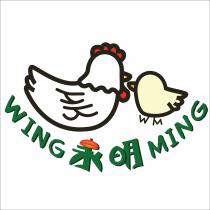 HK WM WING MING 永明