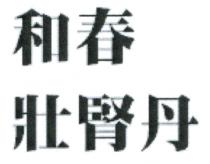 和春 壯腎丹