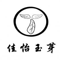 佳怡玉芽