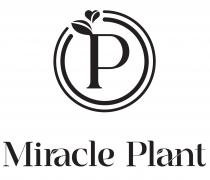 P Miracle Plant