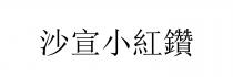 沙宣小紅鑽