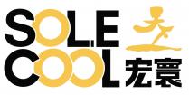 SOLE COOL 天下 宏寰