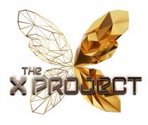 THE X PROJECT