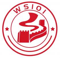 WS101