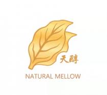 NATURAL MELLOW 天醇