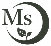 Ms