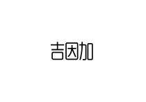 吉因加