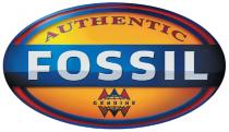 AUTHENTIC FOSSIL GENUINE