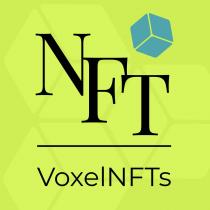 NFT VoxelNFTs
