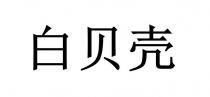 白贝壳