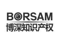 BORSAM 博深知識產權 博深知识产权