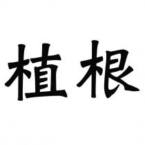 植根