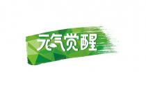 元气觉醒