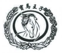 寶馬王子
